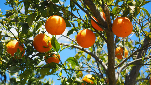 1586514 (a): :2560x1440